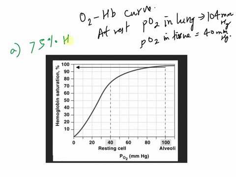 1-use-the-graph-to-the-right-at-rest-the-po2-in-the-lungs-is-104-mmhg-in-the-tissues-the-po2-is-40-mmhg-a-number-the-hatchmarks-on-the-y-axis-for-the-o2-released-from-hb-eg-if-hb-is-75-satur-26996