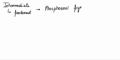 which-intermediate-produced-once-ep-undergoes-substrate-level-phosphorylation-producing-atp-during-glycolysis-pyruvate-oxaloacetate-citrate-fumarate-none-of-the-answers-arecorrect-92506