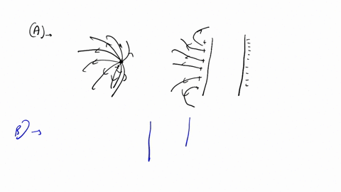 draw-the-electric-fields-for-each-of-the-following-combinations-of-point-charges-and-charged-parallel-plates-a-one-positive-point-charge-with-12-field-lines-near-the-positive-plate-of-the-pa-20923