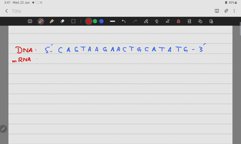write-out-the-rna-sequence-if-the-coding-strand-if-the-parent-strand-dna-sequence-was-5-c-a-g-t-a-a-g-a-a-c-t-g-c-a-t-a-t-g-3-81155