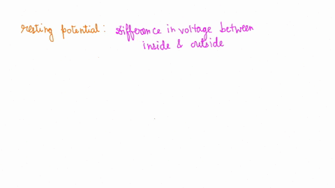 which-of-the-following-modifications-would-make-the-resting-potential-of-the-neuron-more-positive-select-all-that-apply-increase-the-extracellular-ca2-concentration-increase-the-intracellula-06984