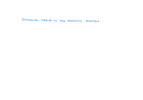 potential-disruption-considering-the-patients-symptoms-patient-experiences-frequent-stomach-pain-nausea-and-changes-in-bowel-habits-how-might-this-epithelia-tissue-be-damaged-or-malfunctioning