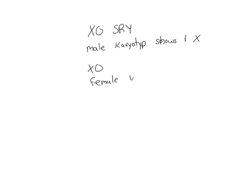 match-each-phenotype-description-to-its-corresponding-sex-chromosome-genotype-in-humans-mathrmxo-with-s-r-y-on-an-autosome-xo-xxxx-xxy-xyy-answer-bank-phenotypically-female-with-some-abnormalities-and