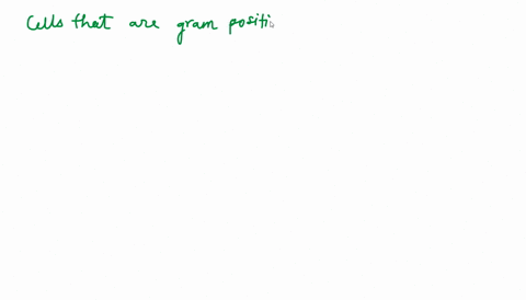 why-will-gram-positive-cells-more-than-24-hours-old-stain-gram-negative-92344