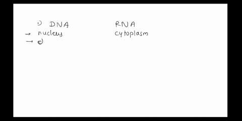 james-watson-and-francis-crick-7differences-between-dna-and-rna-include-which-of-the-following-1-rna-consists-of-one-nucleotide-chain-2-rna-contains-the-nitrogen-base-uracil-instead-of-thymi-88436