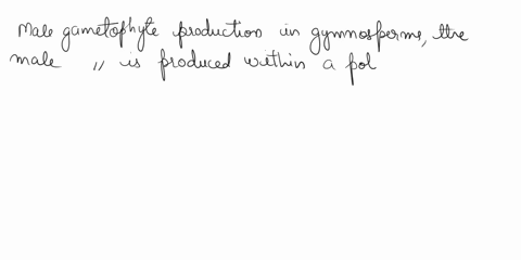 n-gymnosperms-what-is-the-major-way-that-the-male-gametophyte-gets-to-the-location-where-a-female-gametophyte-of-the-same-species-is-found-34568