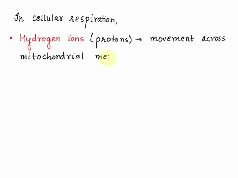 what-is-the-major-role-of-hydrogen-ions-in-cellular-respiration-a-to-make-water-to-act-as-an-electron-acceptor-to-act-as-the-energy-source-to-power-the-actions-of-atp-synthase-32505
