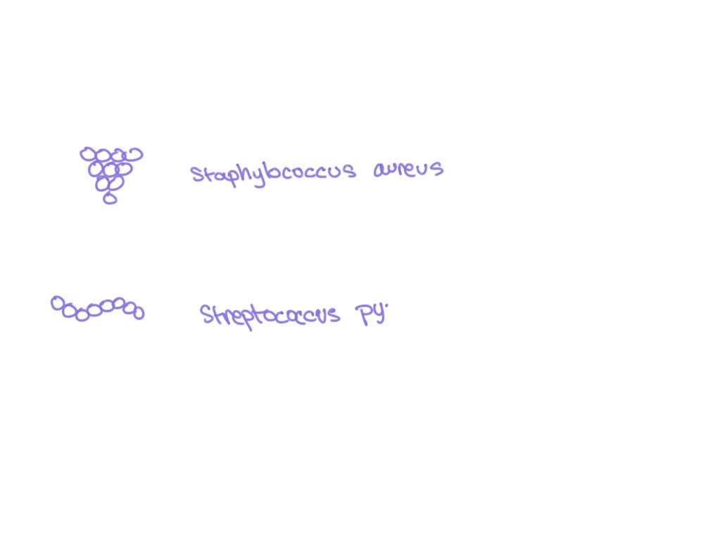 SOLVED Which organism is most commonly responsible for fever and diarrhea after eating melon