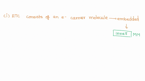 part-8-how-axidative-phosphorylaticn-nroducton-atp-uslng-energy-irom-tho-udor-reaclns-0-0-example-spatially-organized-how-new-praperties-emerge-at-cach-ievel-of-thg-biological-vjerarchy-ectr-74695