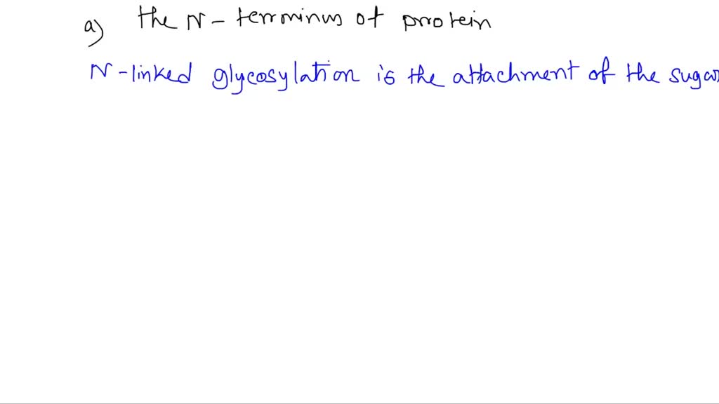 SOLVED: In the glycosylation process of the proteins in the ER ...