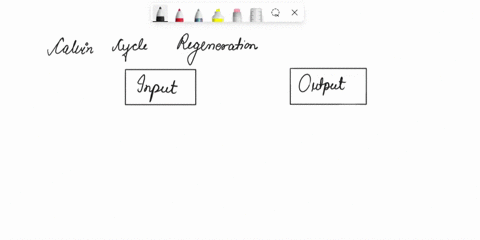 calvin-cycle-regeneration-phase-atp-adp-pi-inputs-outputs-rubp-ribulose-biphospt-hzo-rubisco-glucose-3-phosphoglycerate-csh12os_-coz-glyceraldehyde-3-phosphate-g3p-adp-p-7-atp-nadp-ht-nadph-90543