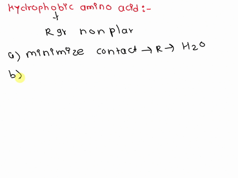 2in-globular-protein-hydrophobic-amino-acid-r-groups-would-be-found-____-a-on-the-inside-of-the-folded-chain-away-from-water-b-forming-a-peptide-bond-with-the-next-amino-acid-in-the-chain-c-44003