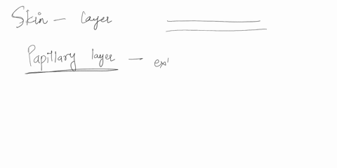 which-layer-of-the-dermis-is-responsible-for-producing-fingerprint-patterns-23665