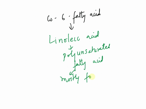 an-0-6-gamma-6-is-which-oe-of-the-following-ostearic-acid-palmetic-acid-olinoleic-acid-0-buteric-acid-78532