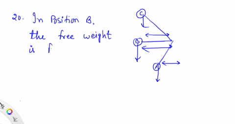 20-the-next-three-questions-refer-to-the-picture-below-a-person-is-doing-a-biceps-curl-flexing-the-elbow-to-lift-the-free-weight-against-gravity-from-position-a-to-position-c-in-which-position-does-th