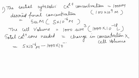 one-thousand-mathrmca2-channels-open-in-the-plasma-membrane-of-a-cell-that-is-1000-mu-mathrmm3-in-si-53989