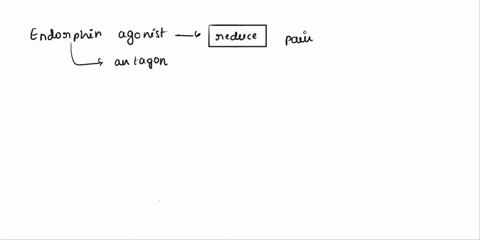 endorphin-agonists-are-likely-to-________-ones-immediate-pain-and-endorphin-antagonists-are-likely-to-________-ones-immediate-paina-increase-decreaseb-increase-increasec-decrease-increased-d-07547