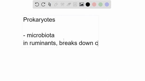 your-friend-believes-that-prokaryotes-are-always-detrimental-and-pathogenic-how-would-you-explain-2-20237