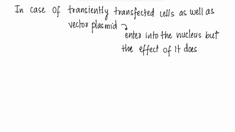 true-or-false-4-in-stable-transfection-the-dna-vector-is-transcribed-in-the-nucleus-but-in-transiently-transfected-cells-transcription-of-the-dna-vector-occurs-in-the-cytoplasm-90584
