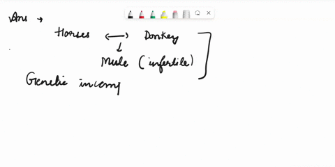 horses-and-donkeys-can-interbreed-but-their-offspring-mules-are-infertile-this-is-an-example-of-what-kind-of-reproductive-isolating-mechanism-pre-zygotic-behavioral-isolation-pre-zygotic-tem-45267