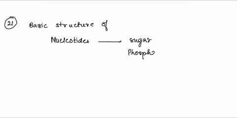 lab-isqlabion-genomic-dna-fram-onian-cells-estimalon-dna-21-the-basic-structure-nuclenlde-includes-amino-acids-iryplaphan-and-leucine-base_-sugar-and-phosphate-mrna-irna-and-irna-22in-an-ana-78493