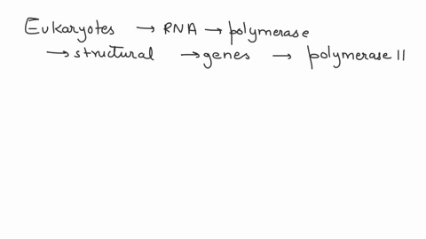 question-12-in-eukaryotes-which-rna-polymerase-transcribes-all-the-structural-ie-protein-coding-genes-what-other-proteins-are-needed-to-help-this-polymerase-find-the-promoter-region-and-how-46095
