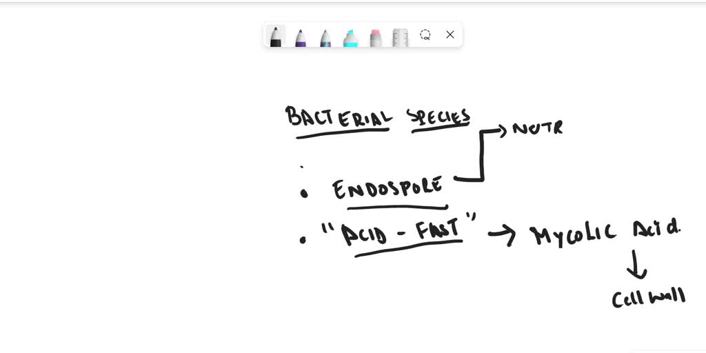 SOLVED Texts What is the function of a bacterial endospore? Why is