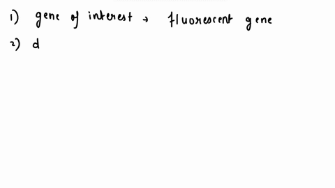 exercise-11238-creating-cloning-strater-tasks-students-will-galn-the-knowledge-cteaic-cloning-stralegy-for-the-purposes-of-understanding-biotechnology-research-purpose-this-experiment-will-h-64777