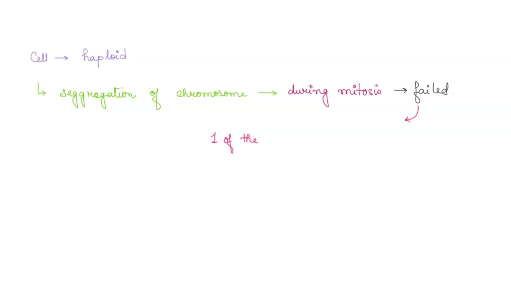 SOLVED D1. Complete the table below (20) Stage of Cellular Needs