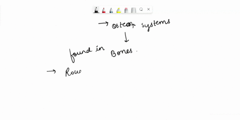 describe-the-location-and-function-of-the-osteon-systems-37376