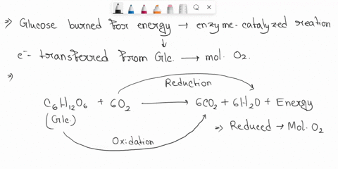 organisms-can-use-a-variety-of-carbon-and-energy-sources-depending-on-their-availability-in-the-environment-oxidation-and-reduction-reactions-play-critical-roles-in-metabolism-and-the-relati-17518