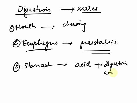 1-place-the-following-organs-in-order-in-which-they-would-make-their-contribution-to-the-digestion-of-a-bite-of-food-____gall-bladder-____-ileum____stomach-____cecum____esophagus-____rectum_-23589