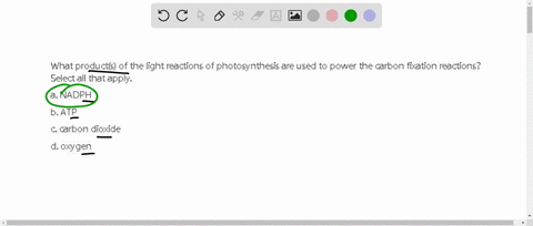 what-products-of-the-light-reactions-of-photosynthesis-are-used-to-power-the-carbon-fixation-reactions-select-all-that-apply-a-nadph-b-atp-c-carbon-dioxide-d-oxygen-37087