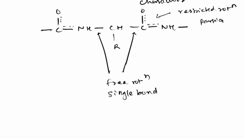 which-compound-in-each-of-the-following-pairs-is-more-basic-explain-a-ch3ch2nh2-or-ch3ch2conh2-b-naoh-or-ch3nh2-c-ch3nhch3-or-pyridine-86648