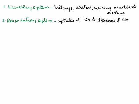 match-the-organ-system-wlth-its-main-components-or-functions-circulatory-muscular-digestive-nervous-endocrine-repraductive-excretory-respiratory-skeletal-integumentary-consists-of-kidneys-ur-37747