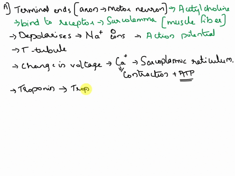1-a-starting-with-the-action-potential-in-the-motor-neuron-list-in-order-the-steps-associated-with-excitation-contraction-ec-coupling-ie-list-the-steps-between-depolarization-of-the-neuromus-96896