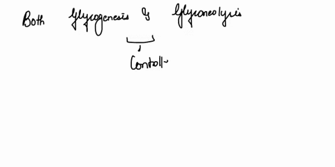 question-11-26plz-both-glycogenesis-and-glycogenolysis-are-controlled-primarily-by-the-interplay-between-the-two-homiones-insulin-nd-teslosterone-estrogcn-coriso-glucagon-question-12-25-pts-22996