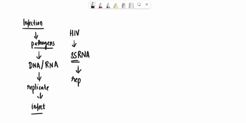 Diagram describe the life cycle of hiv what is happening in...