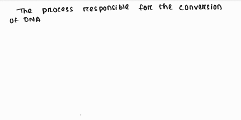 which-process-is-responsible-for-the-conversion-of-dna-information-into-messenger-rna-13314