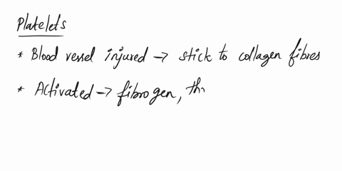 agglutinaton-27_-during-platelet-plug-formation_-platelets-stick-jo-the-exposed-collagen-fibers-of-injured-vesscis-activated-platelets-release-fibrinogen-thrombin-is-released-from-endothelia-16216