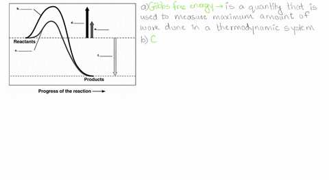 the-following-graph-shows-the-energy-profile-of-an-exergonic-reaction-with-and-without-an-enzyme-label-parts-a-through-reactants-products-progress-of-the-reaction-93822