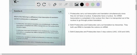 question-7-1-pts-true-or-false-stop-codons-code-for-an-amino-acid-in-a-protein-sequence-during-translation-true-false-question-8-1-pts-which-of-the-following-is-a-difference-in-how-transcrip-67605