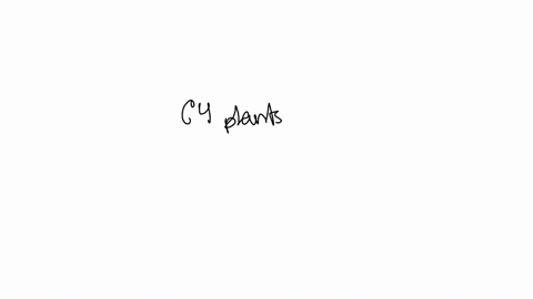 c4-plants-a-temporally-b-spatially-segregate-rubisco-from-the-calvin-cycle-by-fixing-carbon-in-bundle-sheath-cells