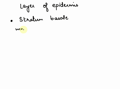 which-layer-of-the-epidermis-is-most-actively-involved-in-replacing-exfoliated-skin-cells-87011