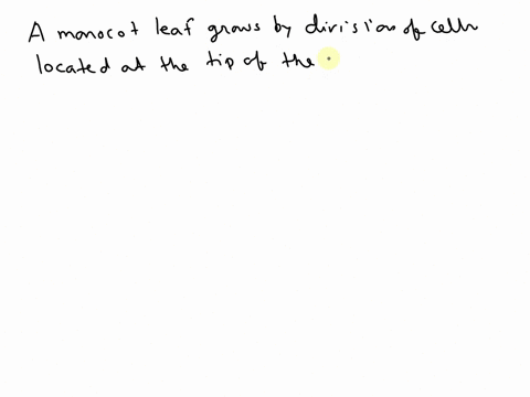 truefalse-if-false-explain-why-a-monocot-leaf-grows-by-division-of-cells-located-at-the-tip-of-the-leaf-87526