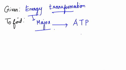 during-energy-transformations-the-majority-of-energy-is-converted-to-a-chemical-bonds-b-heat-c-atp-d-39259