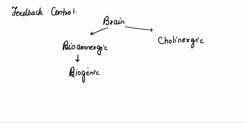 list-three-behaviors-and-three-physiological-mechanisms-that-occur-in-humans-to-cool-the-body-when-it-is-overheated-2pts-behaviors-perspirationevaporation-is-the-phase-change-that-occurs-whe-26473