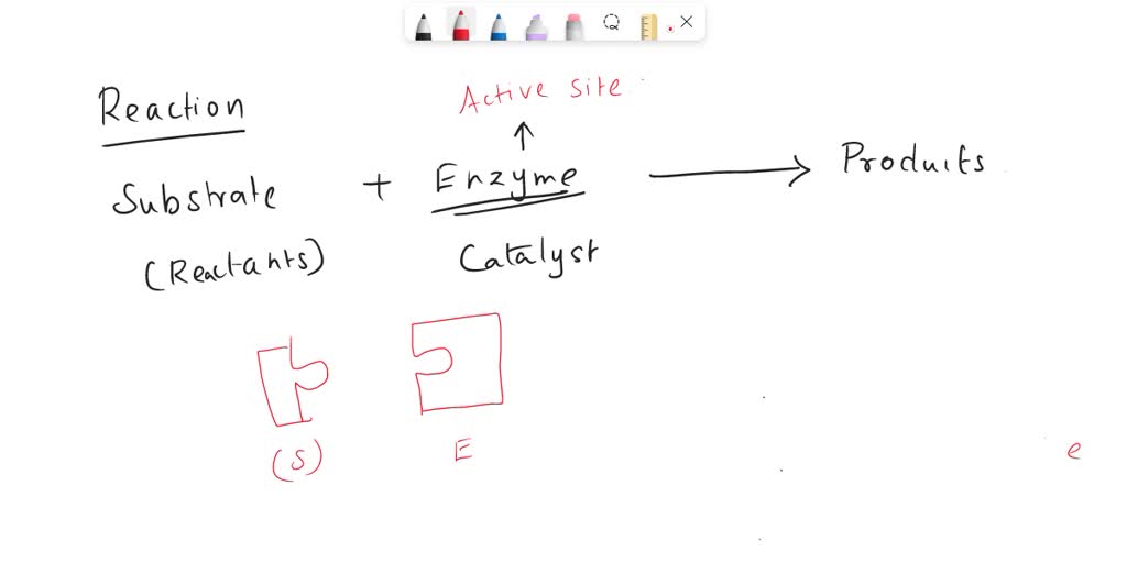 why is the active site important in an enzyme substrate complex