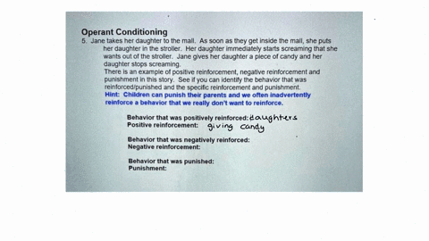 operant-conditioning-5jane-takes-her-daughter-to-the-mallas-soon-as-they-get-inside-the-mall-she-puts-her-daughter-in-the-strollerher-daughter-immediately-starts-screaming-that-she-wants-out-98546