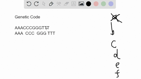what-is-the-best-evidence-that-shows-each-nucleotide-part-of-only-one-codon-nonoverlapping-codons-artificia-messages-with-different-base-sequences-give-rise-different-proteins_-gene-nucleoti-88163
